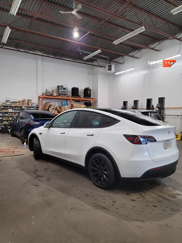 White Tesla Model Y, Full body XPEL Stealth satin finish PPF. Photo 31 of 54.